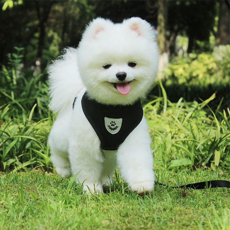 Adjustable Pet Control Harness Collar Safety Strap Belt Mesh Vest for Dog Cat