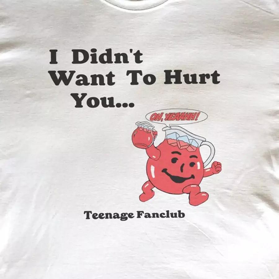 

Teenage Fanclub Band Didn t Want To HUrt You Full Size S-5XL SS934 Unisex T-Shirt S