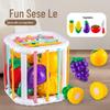Toddler Fruit Cutting & Shape Color Recognition Educational Toy