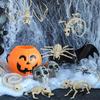 Dekoracje Sceniczne na Halloween Zwierzęca Czaszka Szkielet Ozdoba Symulacja Plastikowa Wrona Mysz Skorpion Dekoracyjne Rekwizyty