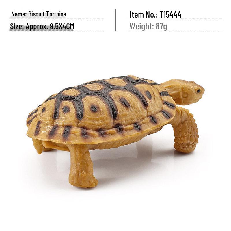 Star Tortoise Replica: Amphibian Reptile Model Decoration Ornament Toy