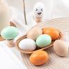 Children's DIY Paintable Wooden Eggs with Egg Holder - Duck Egg Simulation for Easter Decoration