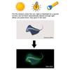 Glow In The Dark Toilet Sticker Under The Sea Toilet Seat Cover Sticker Sea Life Animals Removable Waterproof Peel