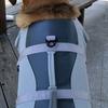 Pet Swimsuit with Easy Open Close Touch Fasteners High Buoyancy Dog Life Jacket