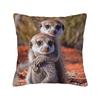 Pillow Case Adult Meerkat Holding Baby Meerkat Comfy  Pillow Cover For Sofa Car Home Decor Vintage Pillowcases