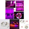 Premium Quality Led Grow Lights Waterproof Growing Led Strip For Seedlings And Greenhouse
