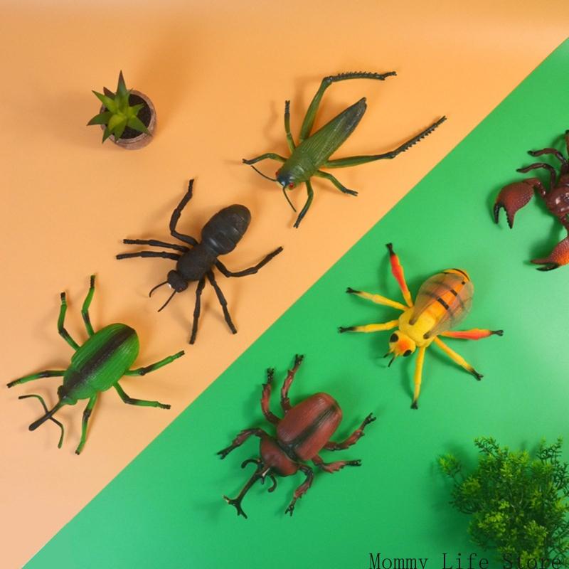 Simulation Insect Model Figure Children Science Fair Project Interaction Toy 3Pc