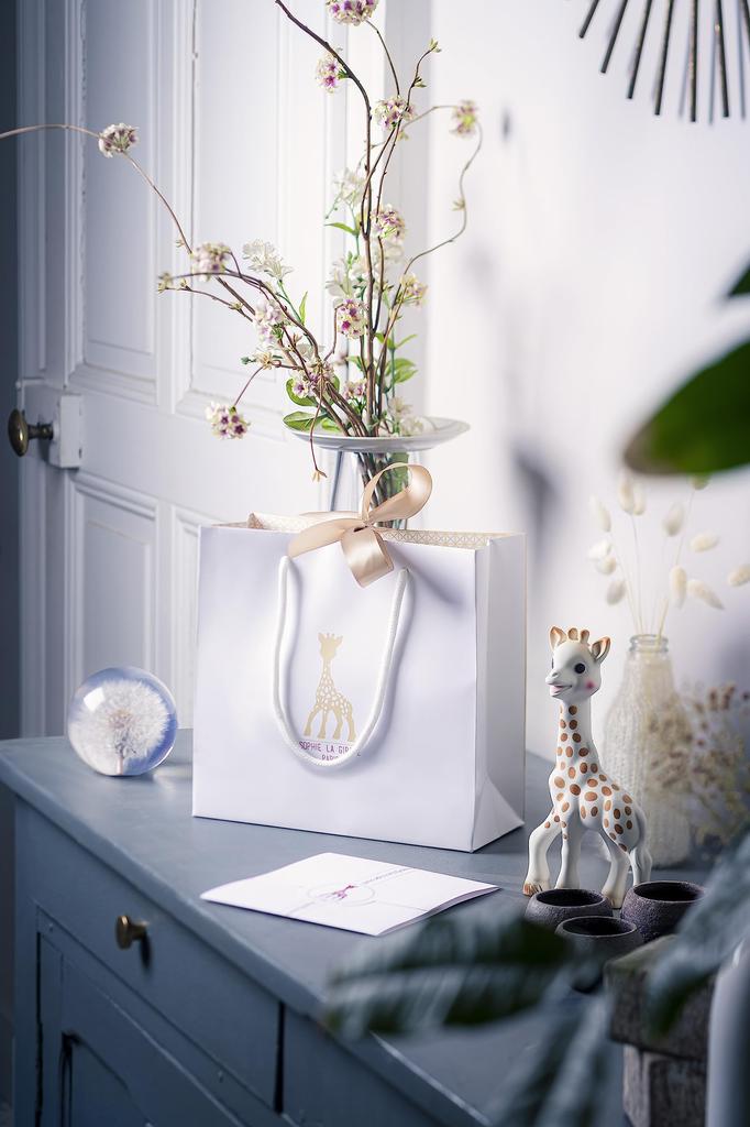 Sophie the Giraffe Colorful Ring Comes with a Gift Bag and Message Card Japanese Vulli Teether Cute Baby Infant 0 Years Old 3 Months Old 1 Year Old