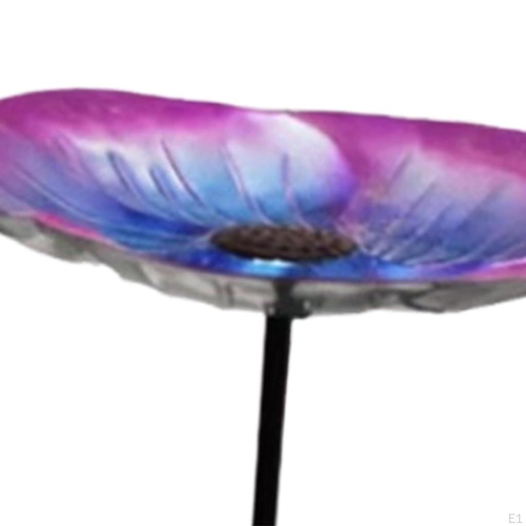 Bath Bowl with Detachable Stake for Backyard Enthusiasts