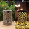 2026 New Vintage Daisy Projection Solar Lantern - Rustic Iron LED Lamp, Waterproof Hanging Decor for Garden, Patio & Yard