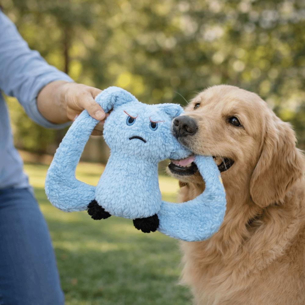 Long Eared Rabbits Pet Plush Toys Bite-Resistant Squeaky Dog Toys Dog Chew Toys  Interactive Play