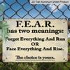2D Flat, 1pc Vintage Aluminum Decorative Sign, F.E.A.R. Sign- High-Quality Metal Inspirational Wall Decor, Vintage Country Style Home Decor