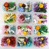 Multicolor Dried Flowers & Leaves DIY Craft Kit Resin Molds for Jewelry, Nail Art, Candles, Soap Making & Home Decor