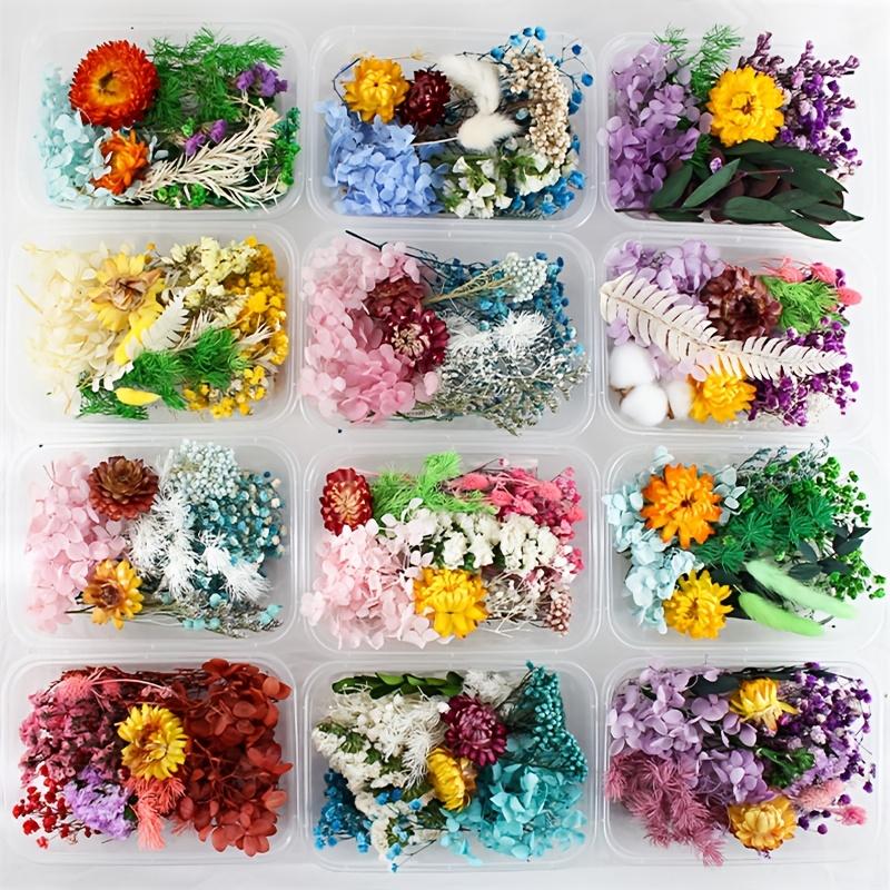 Multicolor Dried Flowers & Leaves DIY Craft Kit Resin Molds for Jewelry, Nail Art, Candles, Soap Making & Home Decor