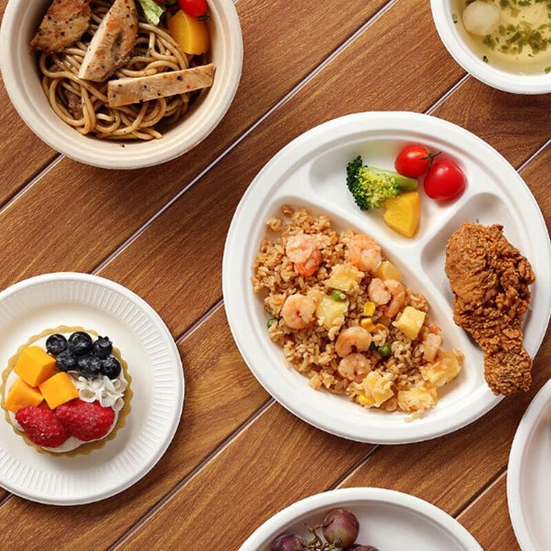Minnai Disposable Bagasse Pulp Plates and Bowls