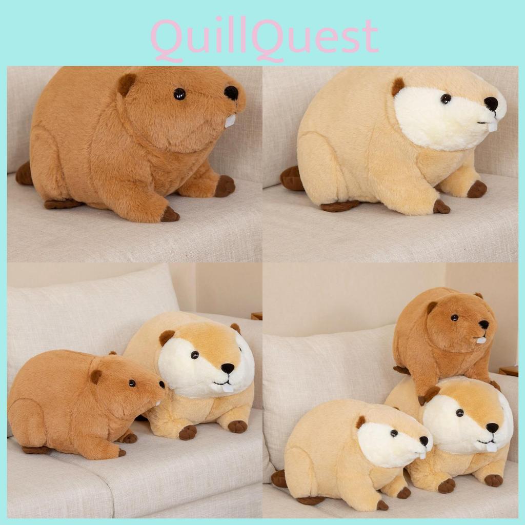 Pet Coyote Cute Mouse Plush Toy Cartoon Sleep Accompany Girls Holiday Children