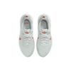Nike Flex Experience Run 11 Next Nature Pure Platinum Light Crimson Women Sneakers Grey Wolf-Grey Summit-White DD9283-007
