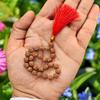 Apnisanskriti Lab Zertifizierte Sumarini Rudraksha Mala 10mm -
