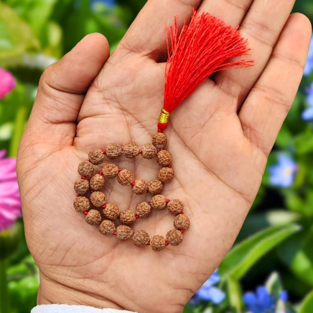 Apnisanskriti Lab Zertifizierte Sumarini Rudraksha Mala 10mm -