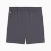 Puma Men S Tad eSSentialS 5 Inch Woven Short M