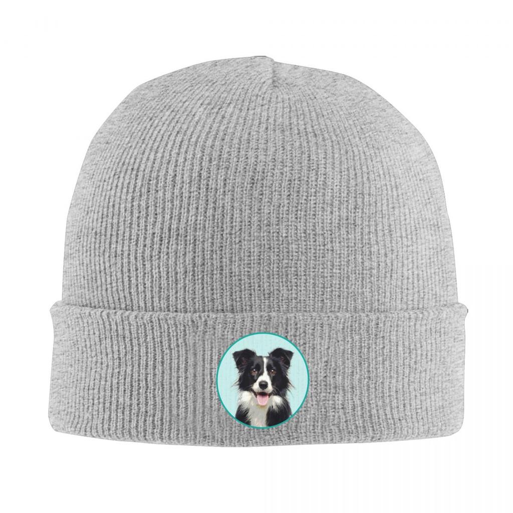 Cute Border Collie Dog Warm Knitted Cap Winter Knit Bonnet Hat Skullies Beanies Hip Hop Caps for Unisex