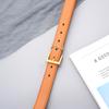 New Women's Belt Genuine Leather Gold Needle Buckle Versatile Jeans Fashion Decoration Designer Women's Belt