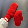 Thick Thermal Winter Warm Mittens Plush Material Plush Soft Gloves Warm Thermal Gloves  Cycling