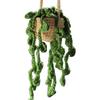 Multi-style Cute Potted Plants Crochet Car Mirror Hanging- Accessories Cute Car Accessories for Women Men Handmade Gift