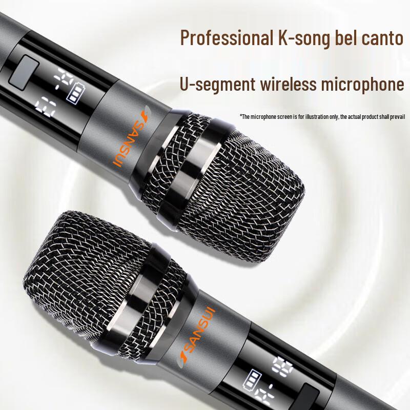 Sansui Portable KTV Bluetooth Speaker with Screen