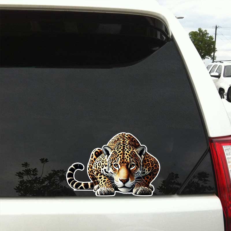 Leopard Wildlife Car Sticker Vinyl Decal Waterproof Rear Window Motorcycle Camper Bumper Truck Laptop Decoration TM361