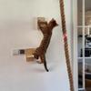 Wandmontierte Kletterseile für Katzen, Sprungstufen für Kätzchen, Haustier-Ruhe-Sprungleiter zum Krallenwetzen, Wandmontierte Kratzmöbel für Kätzchen