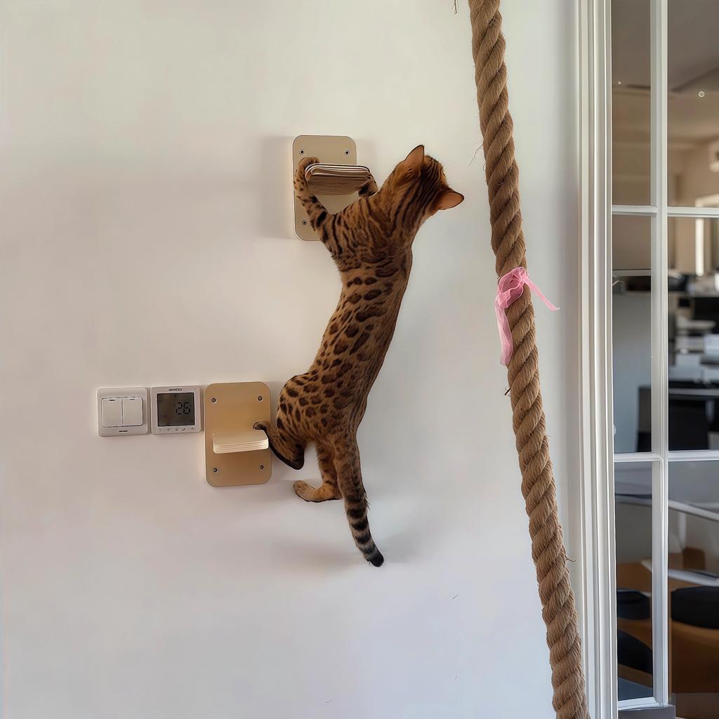 Wandmontierte Kletterseile für Katzen, Sprungstufen für Kätzchen, Haustier-Ruhe-Sprungleiter zum Krallenwetzen, Wandmontierte Kratzmöbel für Kätzchen