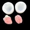 Detailed Anatomical Brain Silicone Mold Medicals Training Art Sculpture Jewelry Design Educational Anatomy Mold
