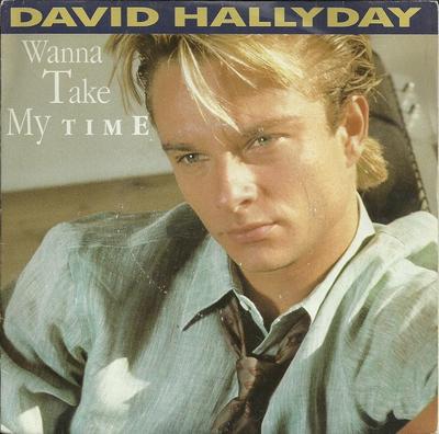 7inch Record DAVID HALLYDAY - Wanna Take My Time 8740847 Scotti Bros. Re 1989 France Rock Used