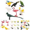 Childrens Parrot Bird Model Pvc Educational Display For Kids Learning And Collection