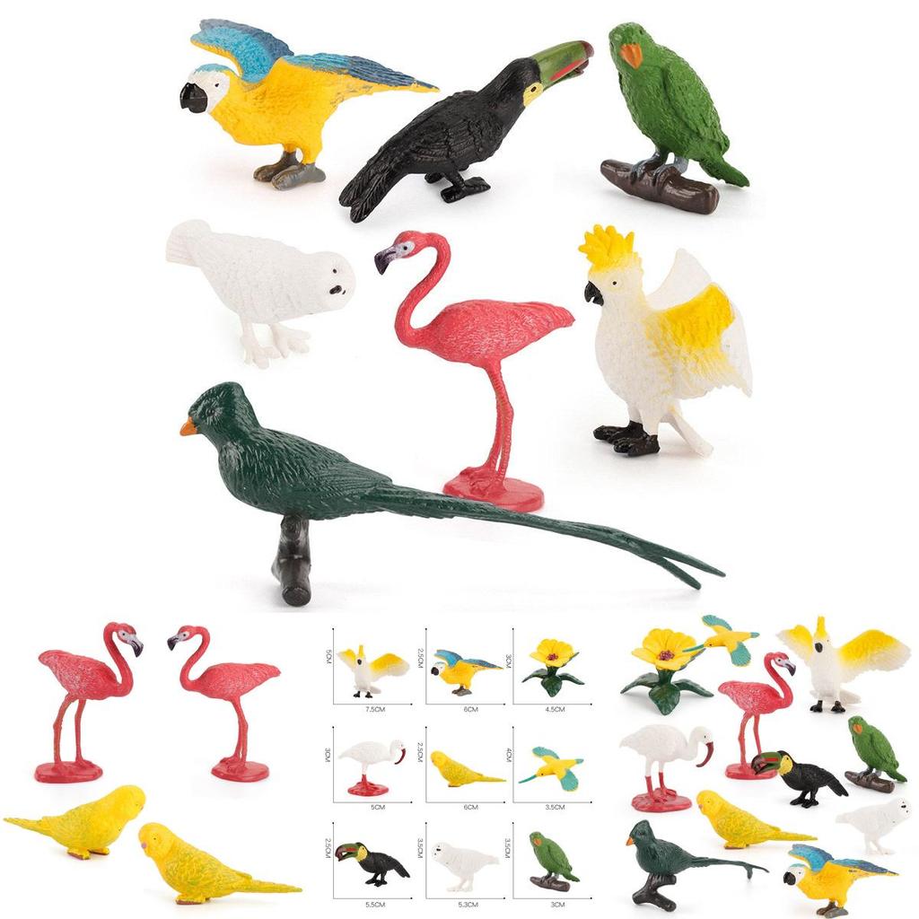 Childrens Parrot Bird Model Pvc Educational Display For Kids Learning And Collection