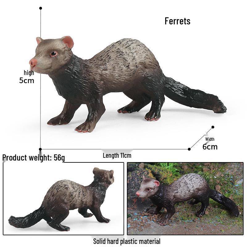 Wild Ferret Cognitive Toy Model - Educational Animal Gift for Kids