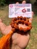 LAB CERTIFIED 27+1 Guru Bead Indian Origin Natural Rudraksha Mala 5 Mukhi 5 Faces 11 Mm, Lord Shivas Rosary Jaap Mala, Pocket Mala, Bracelet