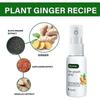 20ml Ginger Spray Regrowth Ginger Spray Fast Hair Growth Fluid Anti Loss Treatment Ginger Essence