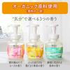 Biore The Hand Foam Hand Soap, Silent Forest Scent, Refill