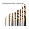 99-Piece Titanium-Coated High-Speed Steel Twist Drill Bit Set (1.5mm-10mm)