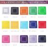 Paisley Set of 55cm X 55cm [g-netshop] Bandanas, 15,