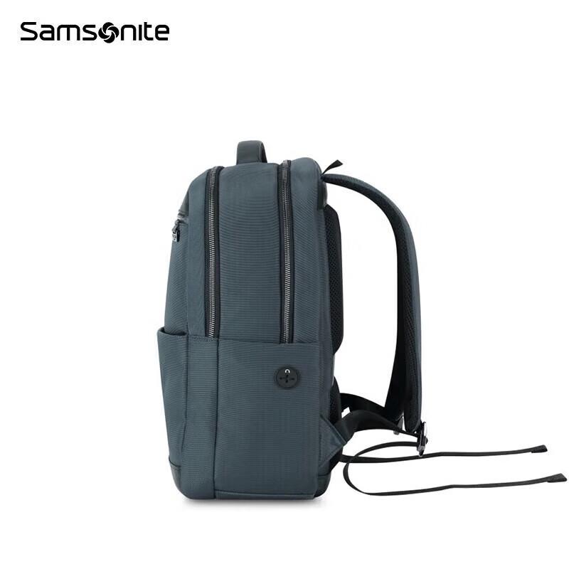 Samsonite Business Travel Backpack