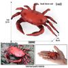 Kids' King Crab Cognitive Simulation Toy Model