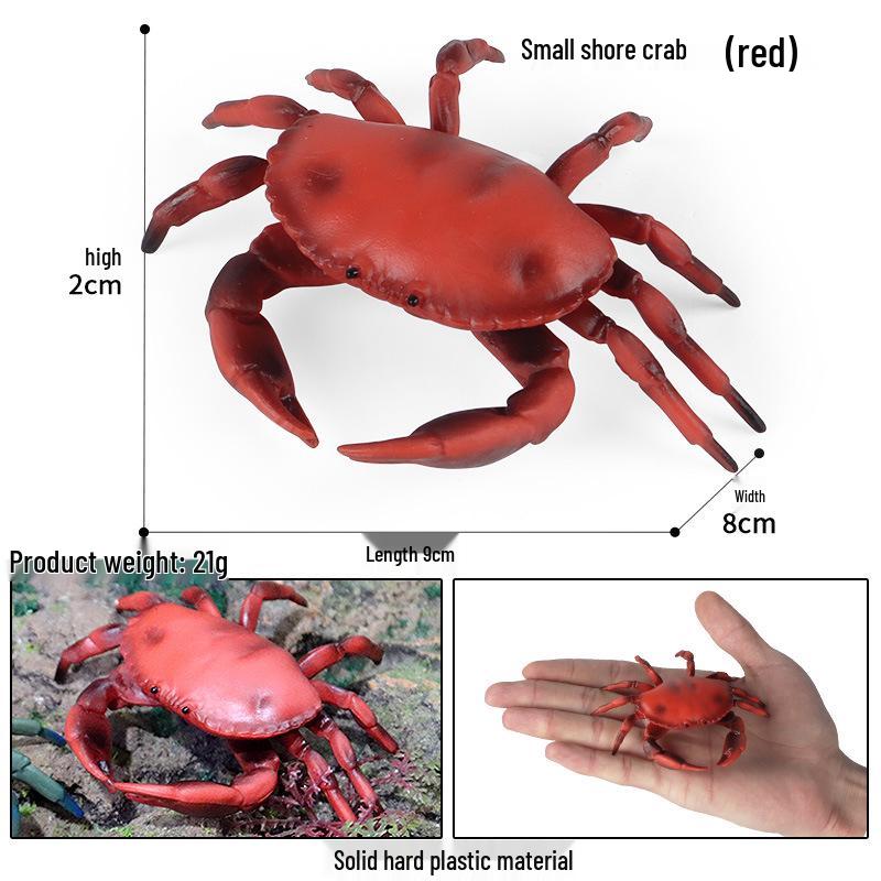 Kids King Crab Cognitive Simulation Toy Model