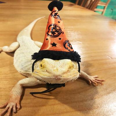 Lizard Leash Harness Set Halloween Costume Hat for Gecko Leopard Hamster Ferret