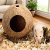 Hamsterhus 5,3 X 4,7 tum Hamsterhem Tuggfast Inhägnad Med Anti-tipp Bas Grotta Habitat För Igelkott Gerbil Kanin Husdjur