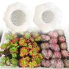 Flower Silicone Candle Molds for Making Candle Soap Home Decoration Multipurpose Floral Silicones Mould for Epoxy Resin