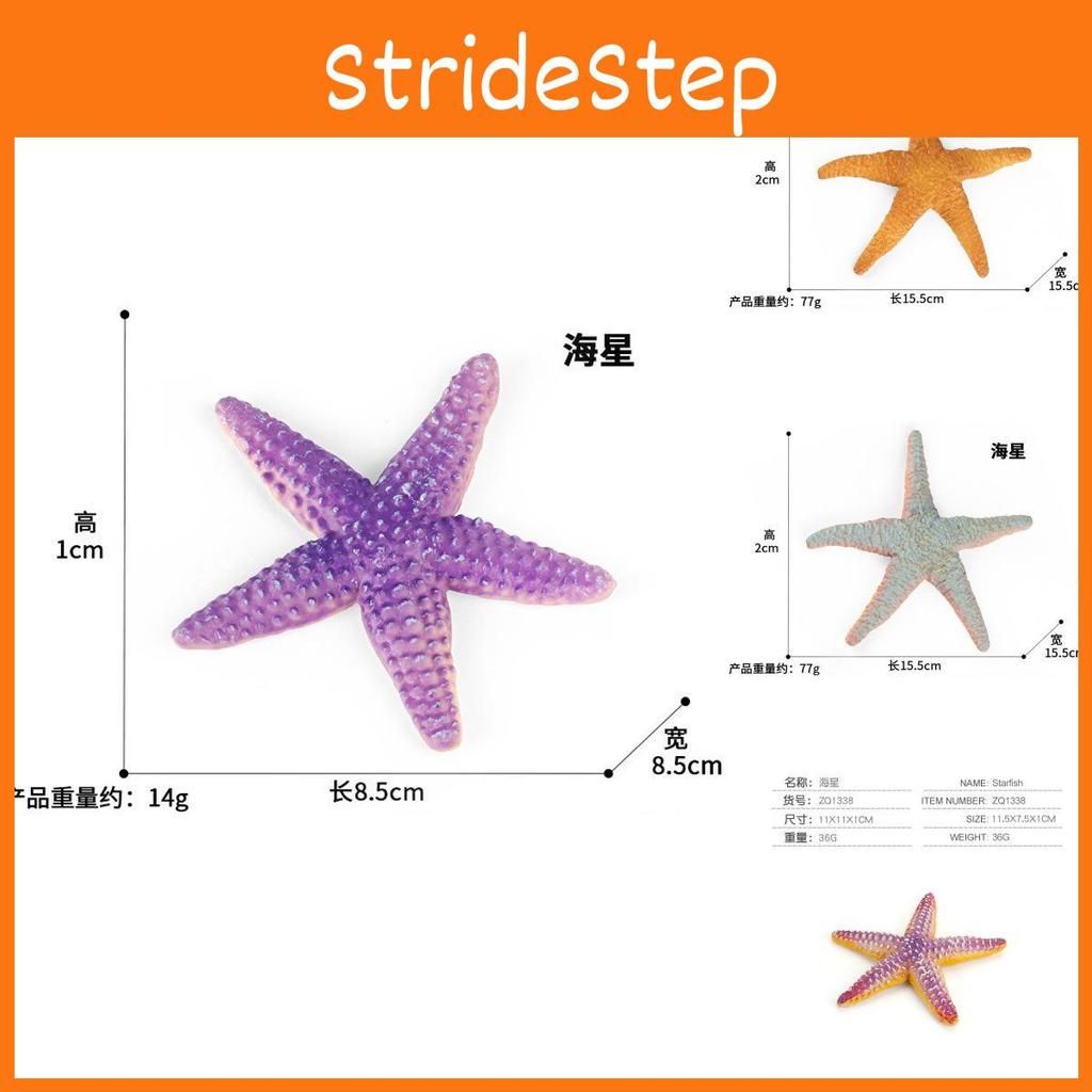 Charming Realistic Starfish Sculpture Pvc Beach Toys Ideal For Nautical Home Decor