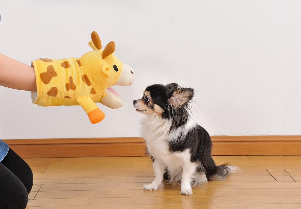 Bonbi Alcon Dog Toy Animal Mitten HAPPY ZOO Giraffe